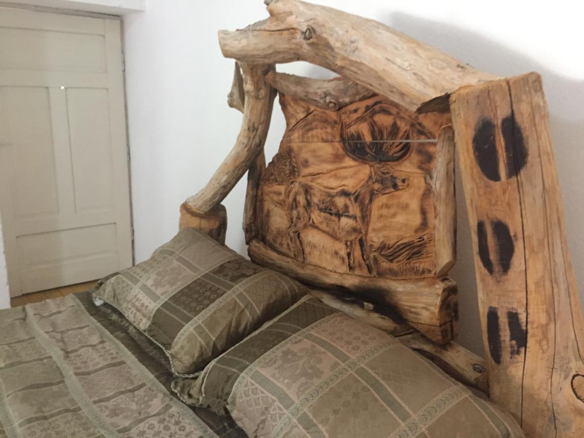 Kitka Hostel - Guest House Vratnica المظهر الخارجي الصورة