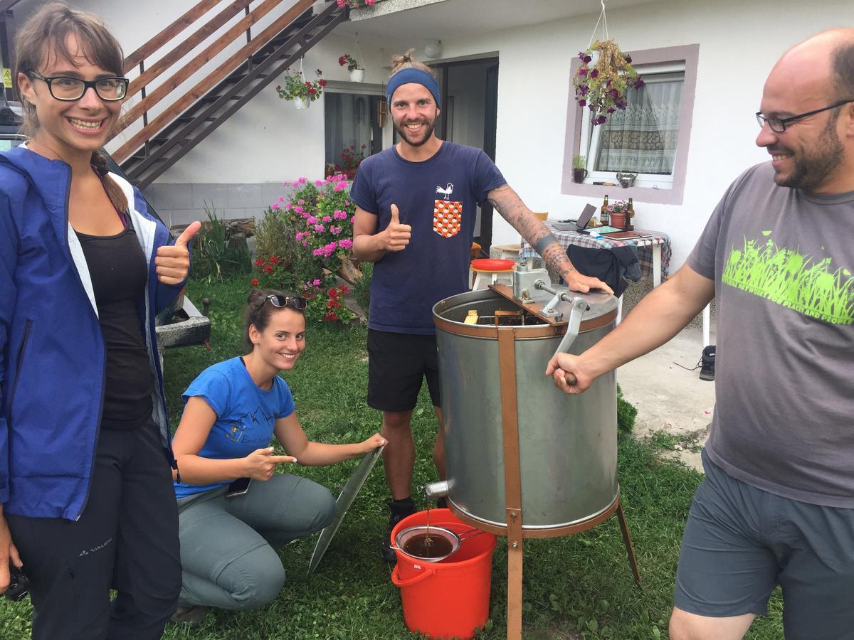 Kitka Hostel - Guest House Vratnica المظهر الخارجي الصورة